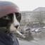 krcatelj