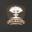 TheShroomofDoom avatar