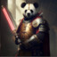 Darth Panda