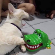 røv
