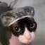 blamkita