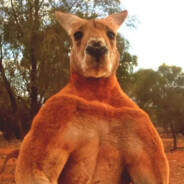 Magikangaroo