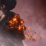 韶华不为少年留