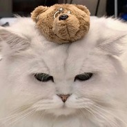 人称电竞陈冠希