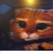 .♠.♪.♠.FLI§H.♠.♪.♠.