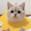 Currify