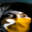 Bean avatar