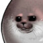 GGseal