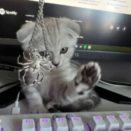 bolshie siski [meow]