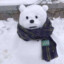 YT丶