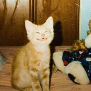 どういう意味？誘人的前輩居然是無底洞？