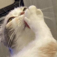 Michael04 - steam id 76561198979542503