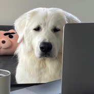 翻斗花园突破手壮壮妈