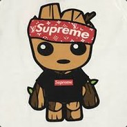 Pro100wDupe