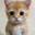 ai cat dance