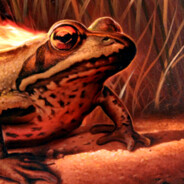 Fire Frog 2.0