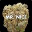 Mr.Nice