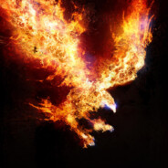 vaalonn avatar