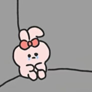 麦当劳卷卷薯条🍟