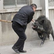crzy_rzrbak - steam id 76561197961463249