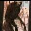друг