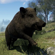 ДЕРЖИСЬ ЗА КАБАНА