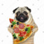 Pizza🍕 pug