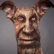 barah - steam id 76561198444669490