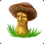 MushroomProphet