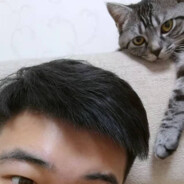 觅心猎手王宝强