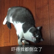 你真的在乎吗