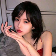 17年后宫生活的我