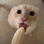Que?