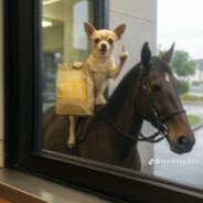 denti (; - steam id 76561198425105677