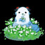 TokiwoKizamuUta❀