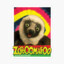 Zoboomafoo