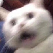 发牌员再爱我一次