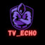 Echo