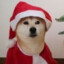 我是渣渣辉辉