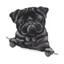 Black-Pug#bloodrust