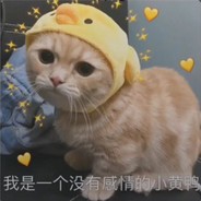 北大还行撒贝宁