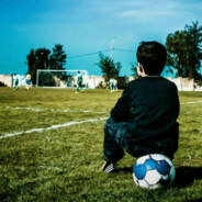 AAA建材批发丸子