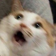 大画家阿尔菲诺的助手