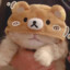 yangY