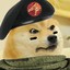 Command Doge