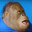 TheHawk