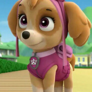 汪汪队立大功丶