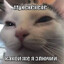 ЗЛЮЧИЙ