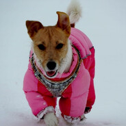 Мисс Дейзи - steam id 76561199592546204