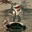 Pee Ball